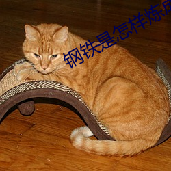 钢铁是怎样炼成的电影免费