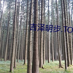 吉澤明步.TORRENT