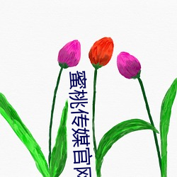 蜜桃傳媒官網