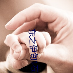 东之伊甸1在线免(miǎn)费观看