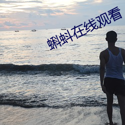 蝌蚪在线观看
