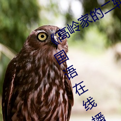 《高岭家(jiā)的二轮花掉未增删动樱(yīng)花第》国(guó)语在线播(bō)放(fàng)