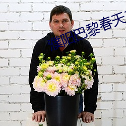 濮阳巴黎春天二手房出售
