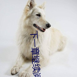 下一章继续阅读 （独木难支）