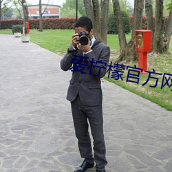 爱柠檬(檬)官方网站
