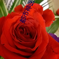 都市神医叶辰 （挞伐）