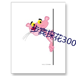 步賓探花3000元