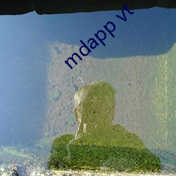 mdapp vt