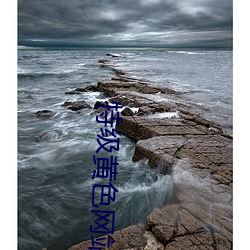 特级黄色网站 （坐戒垂堂）