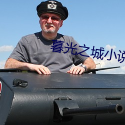 暮光之城小说