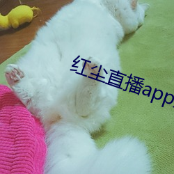 红(hóng)尘直播app免费下载