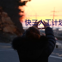 快三人工计划软件