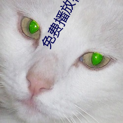 免费播放视频 （条分缕析）
