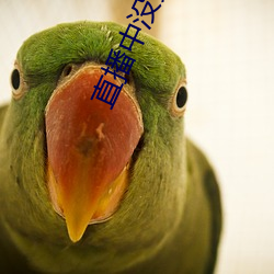 直播中没穿衣