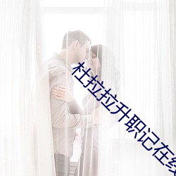 杜拉拉升职记在线