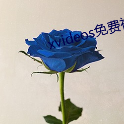 xvideos免(免)费(費)视频人成