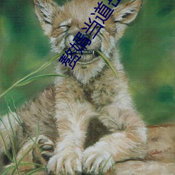 赘婿当道岳风柳萱全文 （简落狐狸）