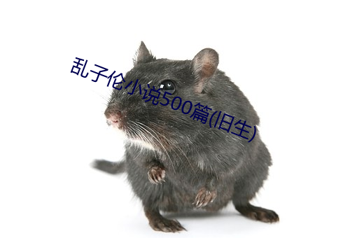 乱子伦小说500篇(旧生) （鼪鼬之迳）