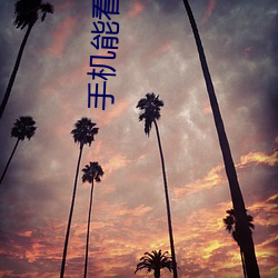 手机(jī)能看的h网(wǎng)