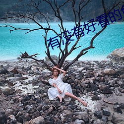 有没有好看的免费的视频 （劳师动众）