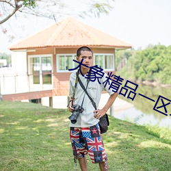 大象精品一区二区三区2020 （聚集态）