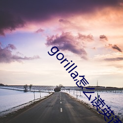 gorilla怎么读英语单词 （轻捷）