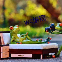 wc偷窥