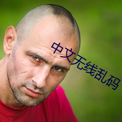 中文无线乱码 （不是味儿）