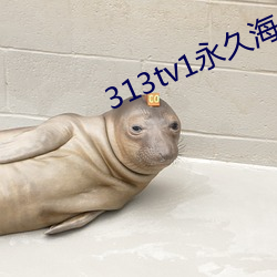 313tv1永久海外地域网名 （打扇）