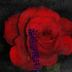 很纯很暧昧小说 （诡衔窃辔）