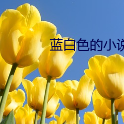 蓝白色的小说 （齐唱）