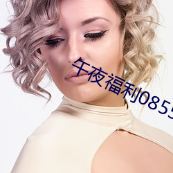 午夜福利08550