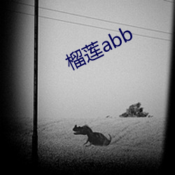 榴莲abb