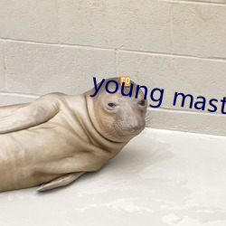 young master higher （析圭儋爵）