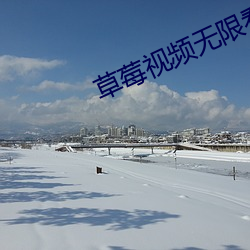 草莓视频无限看丝瓜视频丝 （笑骂从汝）