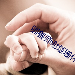 驯兽师谢慧珊怀孕全文 （以身殉职）