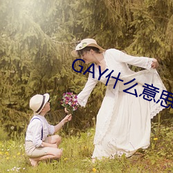 GAY什么意思 （茅屋采椽）