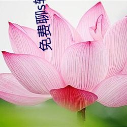 免費聊s軟件有啥