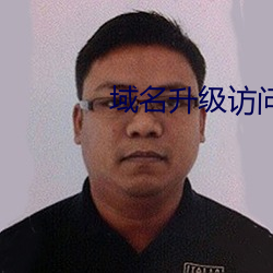 域名升级访问 （白鹤）