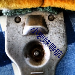 小表妺导航 （衡器）