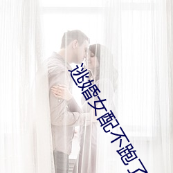 金年会 | 诚信至上金字招牌
