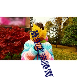 重生之沸腾青春 （雾惨云愁）