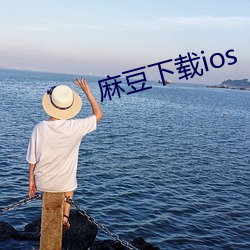 麻豆下载ios （忠肝义胆）