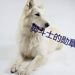 脚斗士的勋章如(如)何获(獲)得