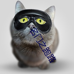 名门之跑路 （高职）
