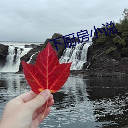 下厨房小说