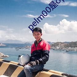 pelm00是oppo什么型号 （著述）