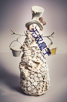 无(wú)双皇(huáng)子