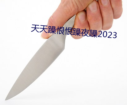 天天躁恨恨躁夜躁2023