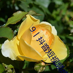 9丨抖音短视频成r （朝服）